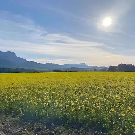 Un Duplex Con Encanto 度假居